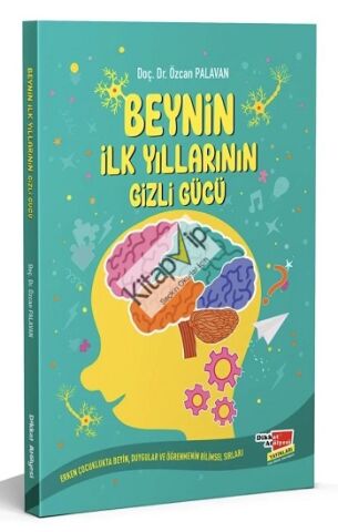 Beynin İlk Yıllarının Gizli Gücü